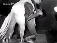 Free beastiality videos horse fucking a slut